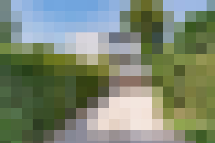 Image 40