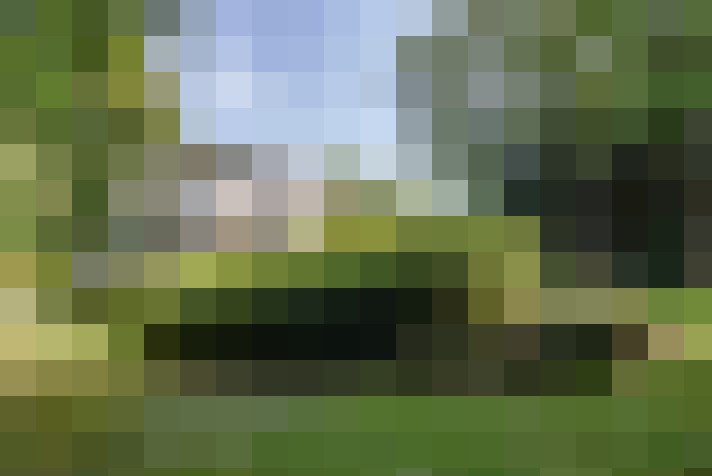 Image 38
