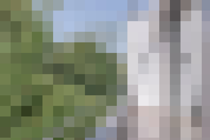 Image 25