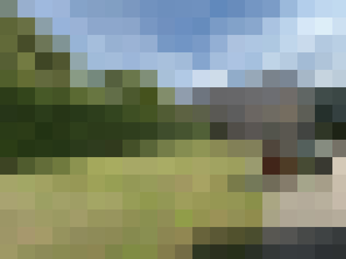 Image 25