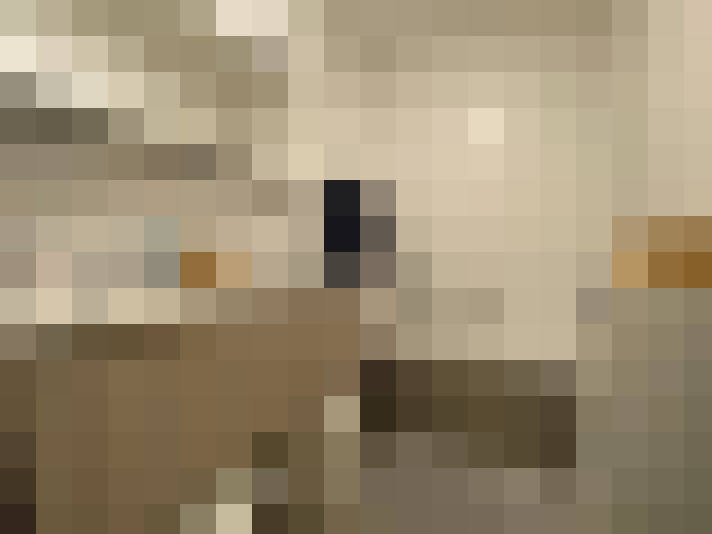 Image 13