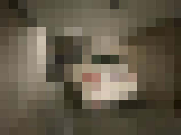 Image 18