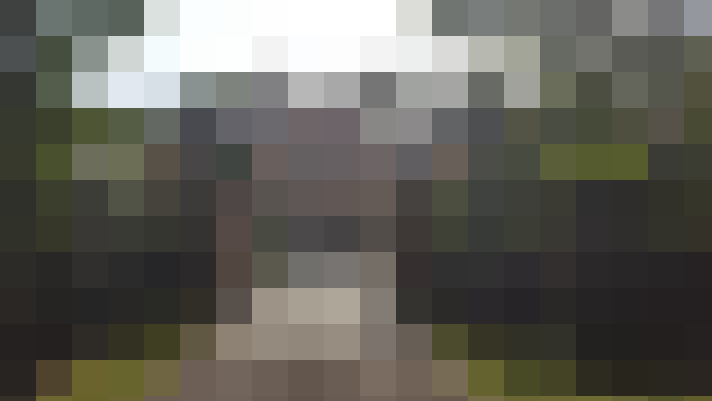 Image 64