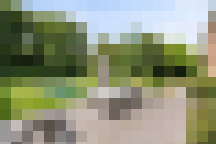 Image 53