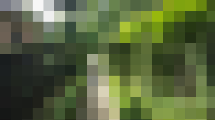Image 58