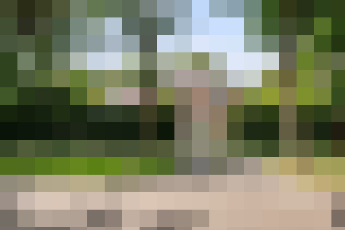 Image 59