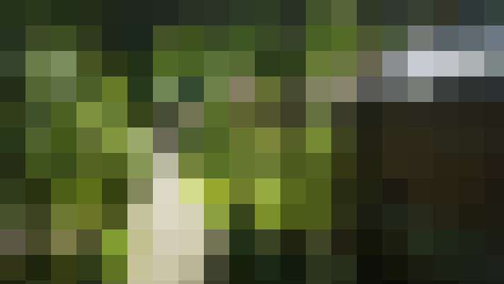 Image 61