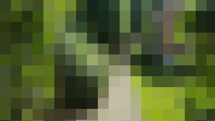 Image 62