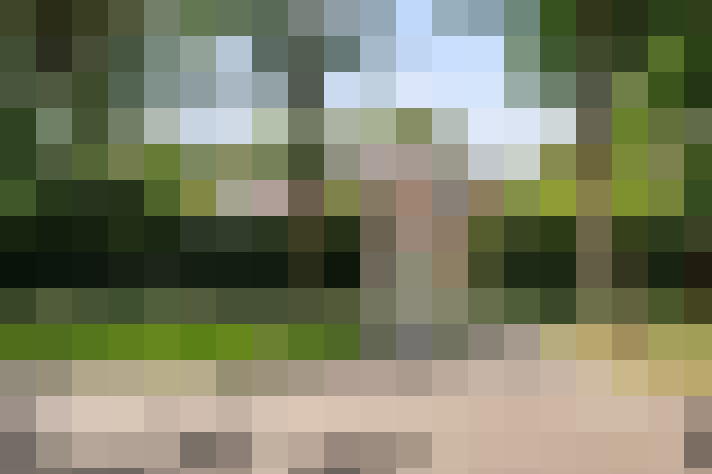 Image 60
