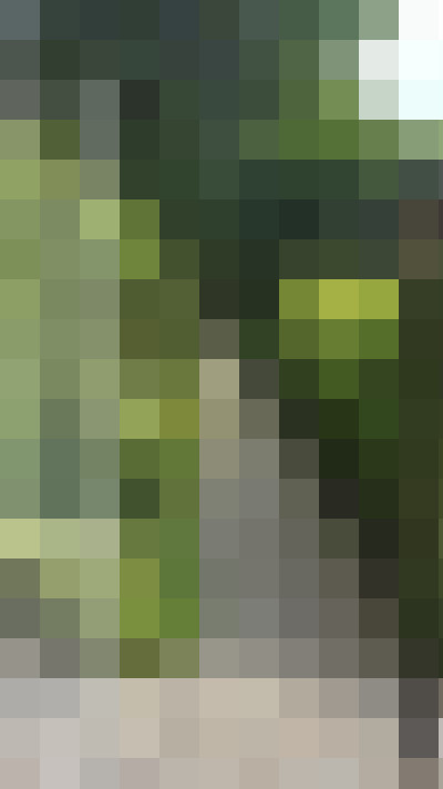 Image 55