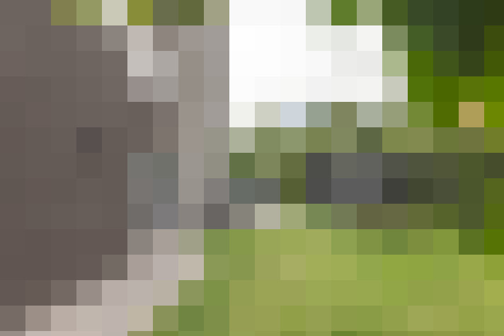 Image 27