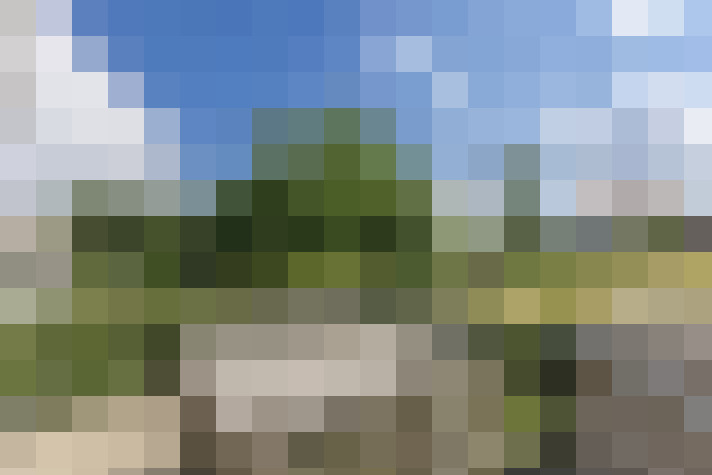 Image 23