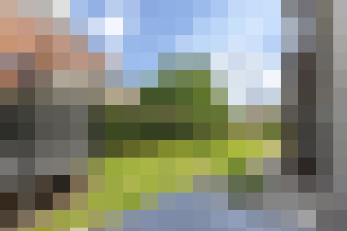 Image 26