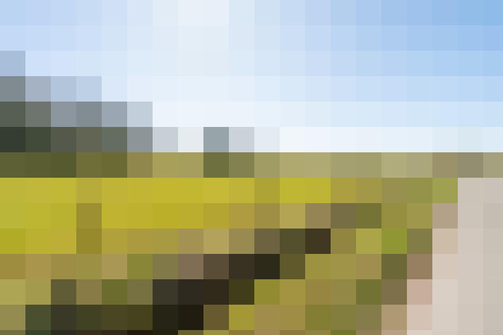 Image 23