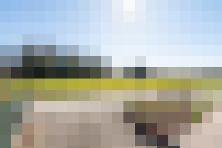 Image 22