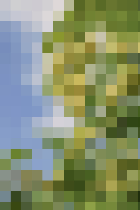 Image 28