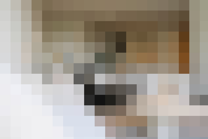 Image 36