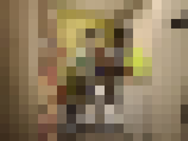 Image 15