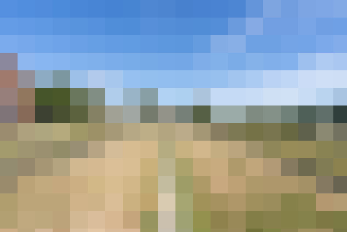 Image 27