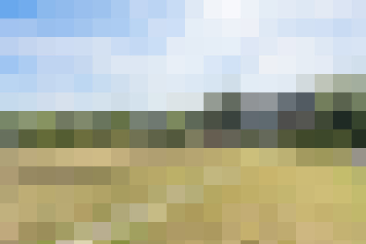 Image 25