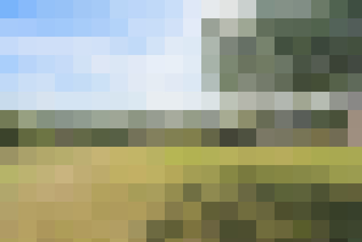 Image 24