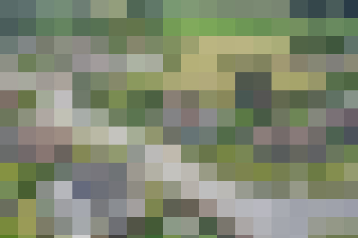 Image 32