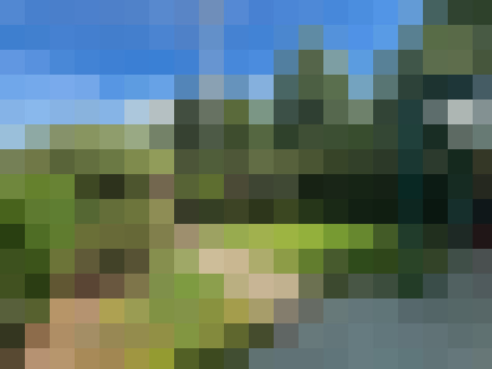Image 16