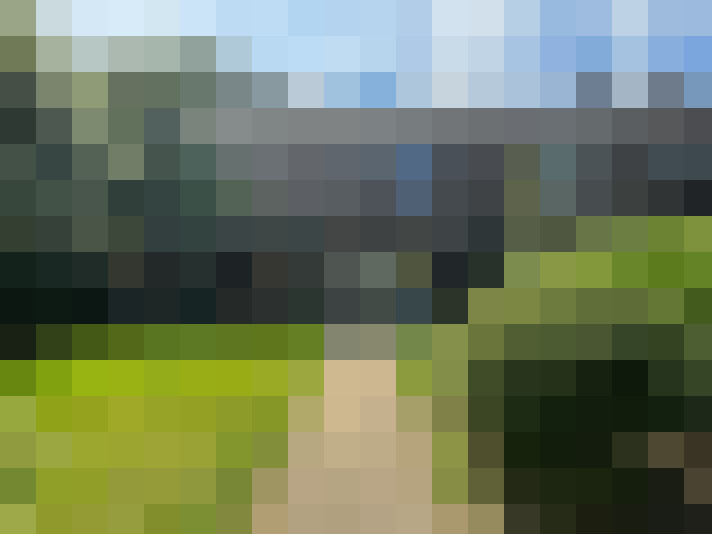 Image 17