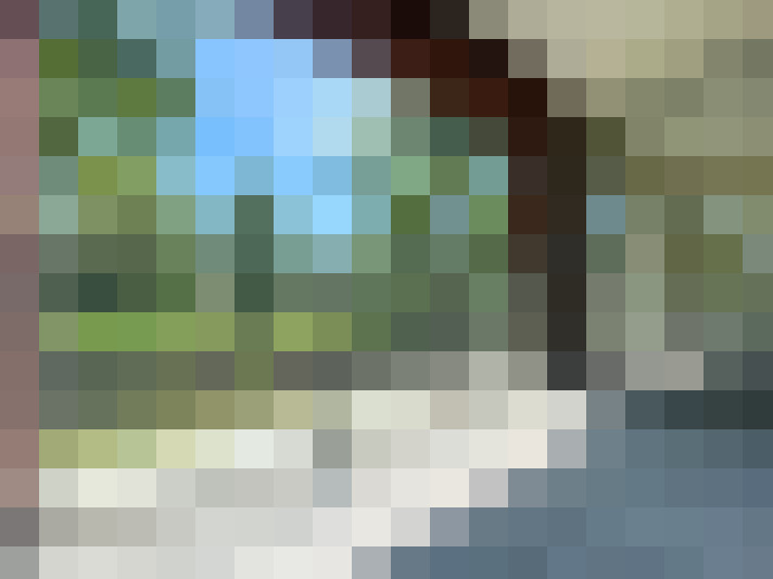 Image 14