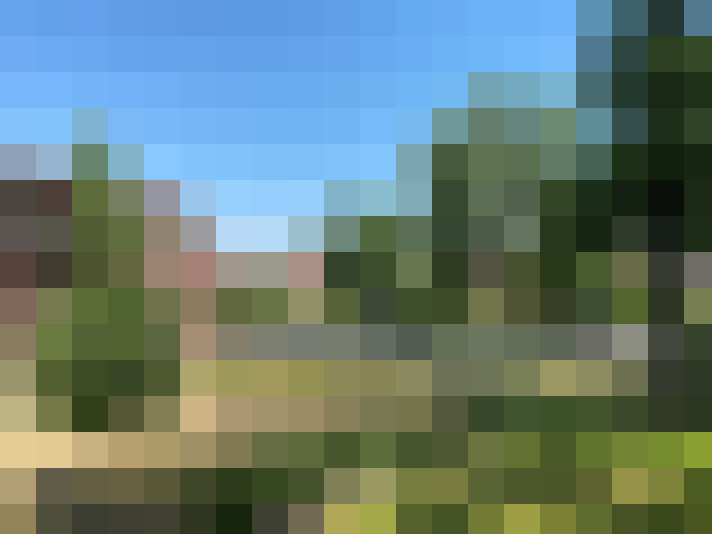 Image 26