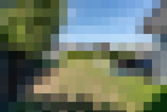 Image 20