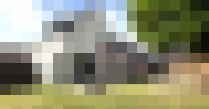Image 15