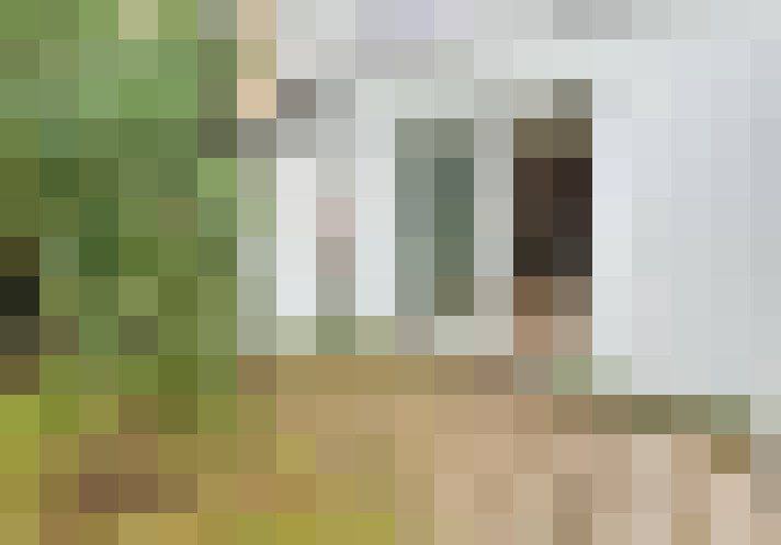 Image 14