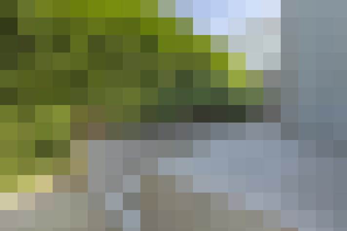Image 14