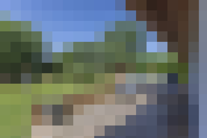 Image 15