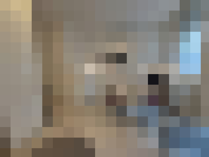  / #16