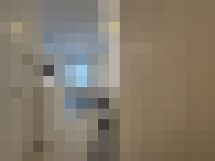  / #8