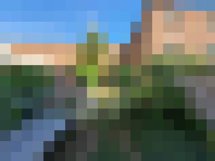  / #7