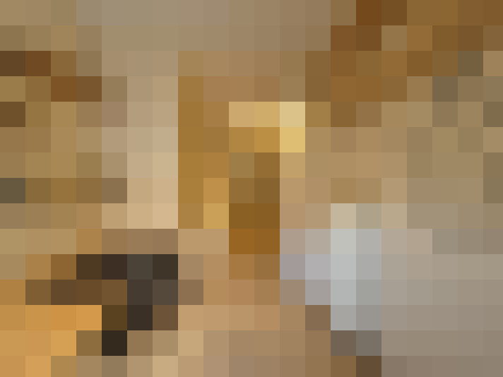  / #12