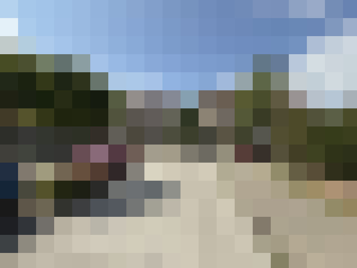 Image 13