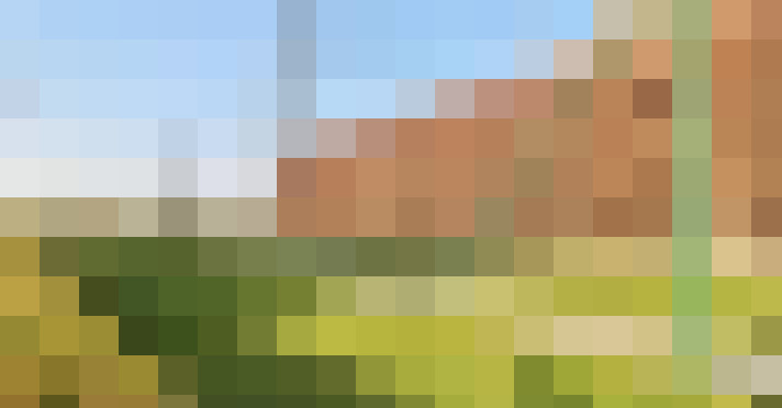 Image 20