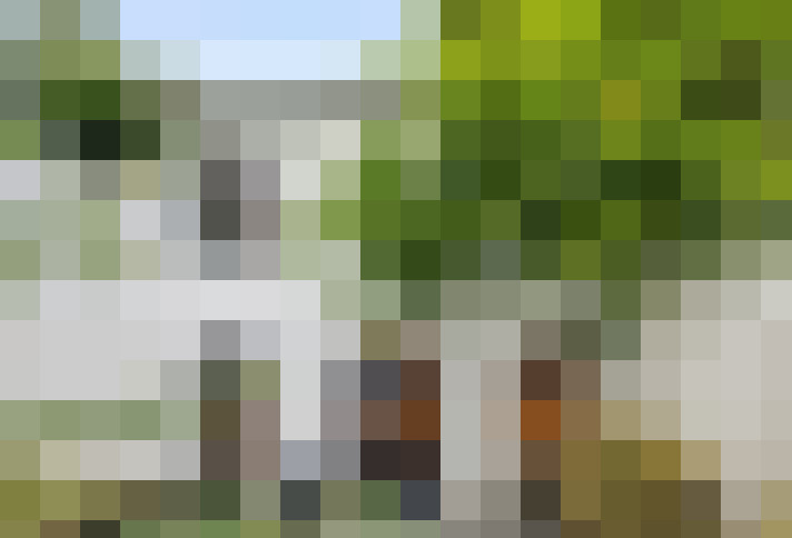 Image 16