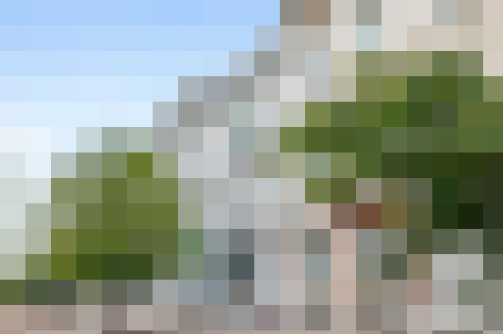 Image 17
