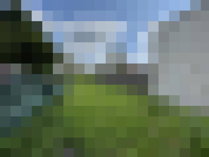 Image 15