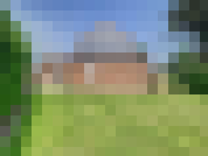 Image 65
