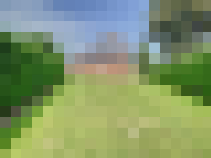 Image 13