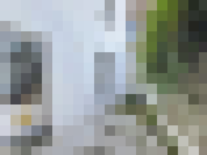 Image 13