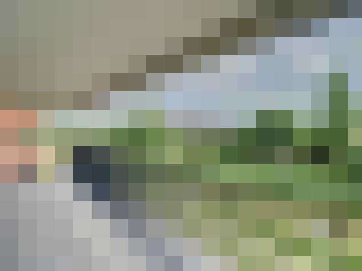 Image 16