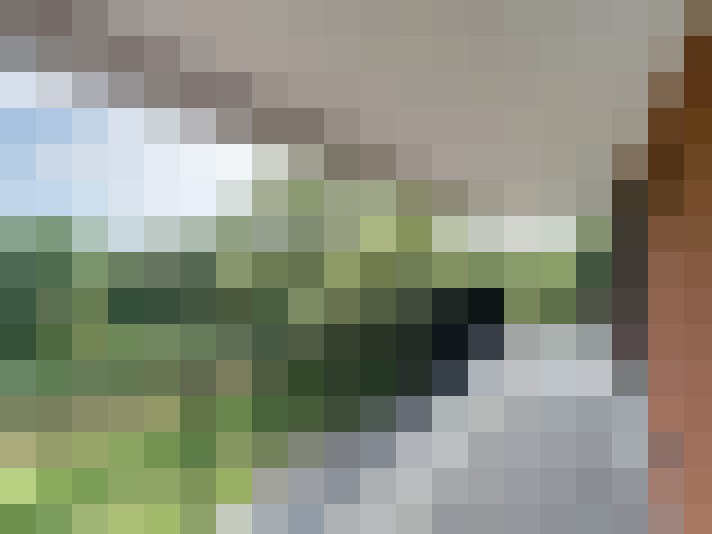 Image 17