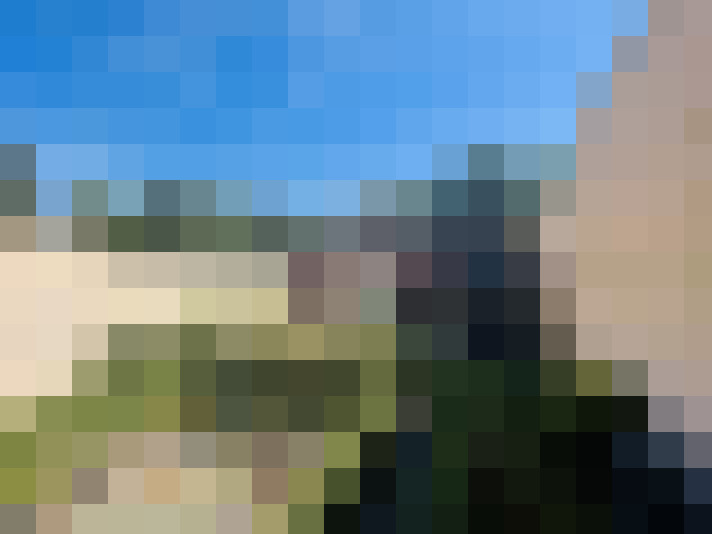 Image 17